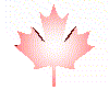 Canadian Website Content