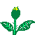 Yellow Rose Image